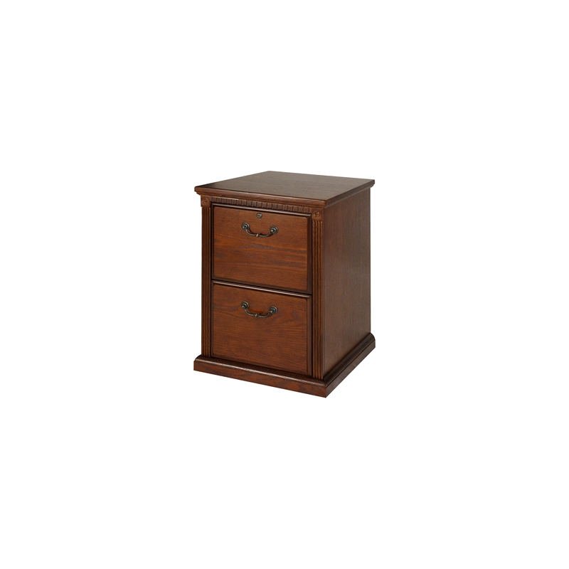 Pemberly Row Transitional 2-Drawers Wood Filing Cabinet in Oak