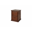 Pemberly Row Transitional 2-Drawers Wood Filing Cabinet in Oak