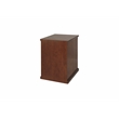 Pemberly Row Transitional 2-Drawers Wood Filing Cabinet in Oak