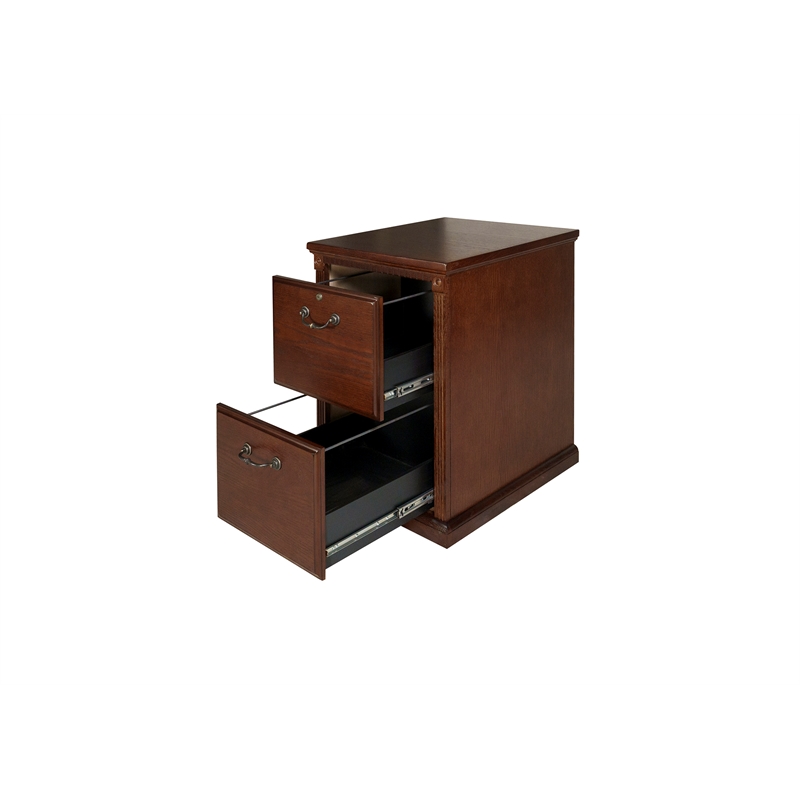 Pemberly Row Transitional 2-Drawers Wood Filing Cabinet in Oak