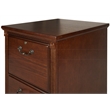 Pemberly Row Transitional 2-Drawers Wood Filing Cabinet in Oak