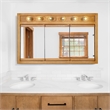 Pemberly Row 48-Inch Lighted Wood Medicine Cabinet in Nutmeg Oak