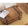 Pemberly Row Contemporary Old World Map Wood Trunk Table in Brown