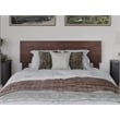 Pemberly Row Twin XL Modern Solid Wood Low Profile Platform Bed in Walnut
