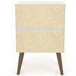 Pemberly Row 2-Drawer Wood Nightstand 2.0 in Aqua / Rustic Brown