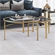 Pemberly Row 2 Piece Nested Metal & Glass Coffee Table in Brass
