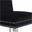Pemberly Row 2Pc Stainless Steel Legs Chair Finish with Velvet Fabric in Black