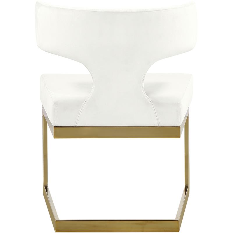 Pemberly Row Contemporary Cream Velvet Dining Chair with Rich Gold Metal Base