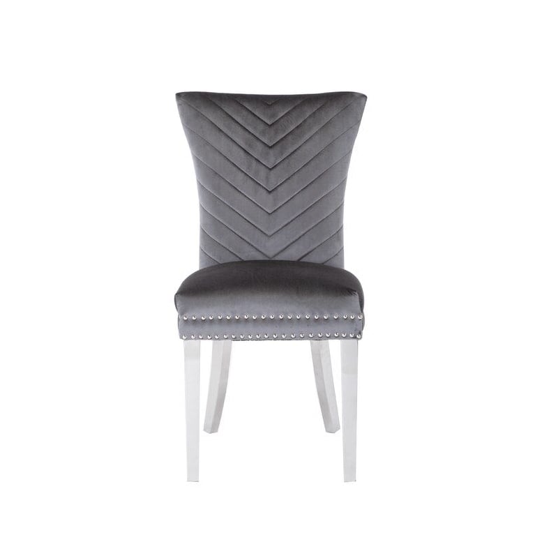 Pemberly Row 2Pc Stainless Steel Legs Chair Finish with Velvet Fabric in Gray