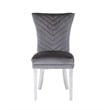 Pemberly Row 2Pc Stainless Steel Legs Chair Finish with Velvet Fabric in Gray