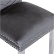 Pemberly Row 2Pc Stainless Steel Legs Chair Finish with Velvet Fabric in Gray
