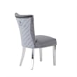 Pemberly Row 2Pc Stainless Steel Legs Chair Finish with Velvet Fabric in Gray