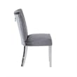 Pemberly Row 2Pc Stainless Steel Legs Chair Finish with Velvet Fabric in Gray