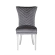 Pemberly Row 2Pc Stainless Steel Legs Chair Finish with Velvet Fabric in Gray