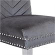 Pemberly Row 2Pc Stainless Steel Legs Chair Finish with Velvet Fabric in Gray