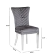 Pemberly Row 2Pc Stainless Steel Legs Chair Finish with Velvet Fabric in Gray
