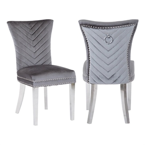 Pemberly Row 2Pc Stainless Steel Legs Chair Finish with Velvet Fabric in Gray