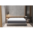 Pemberly Row Modern 12in Polyurethane Queen Mattress in White