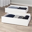 Pemberly Row Modern Storage Drawers on Wheels in White (Set of 2)