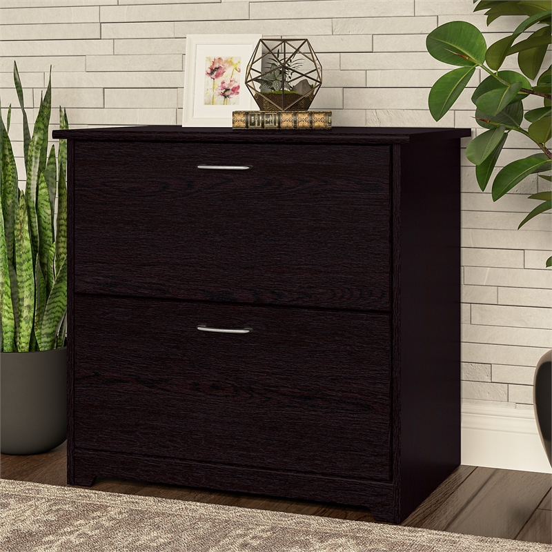 Pemberly Row Wood 2 Drawer Lateral File Cabinet in Chocolate Espresso Oak