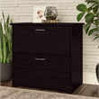 Pemberly Row Wood 2 Drawer Lateral File Cabinet in Chocolate Espresso Oak