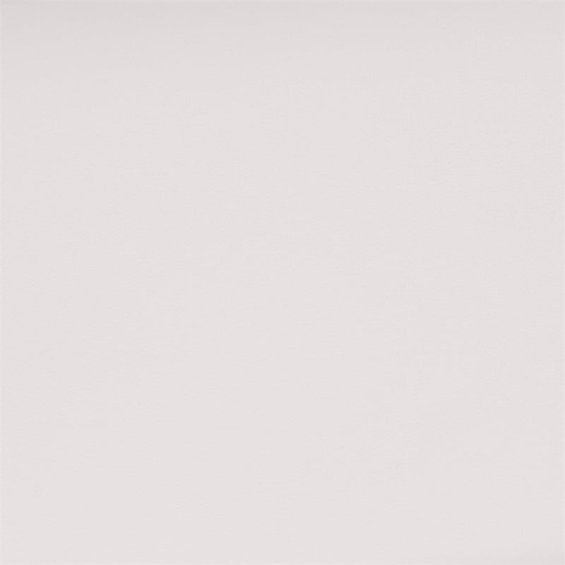 Pemberly Row Contemporary Regal Leather Chair in White Finish