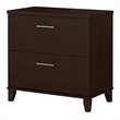 Pemberly Row Lateral File Cabinet in Mocha Cherry - Engineered Wood