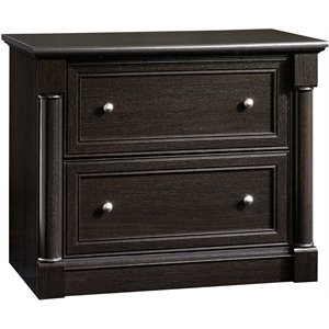 Pemberly Row Engineered Wood 2-Drawer Lateral File Cabinet in Wind Oak