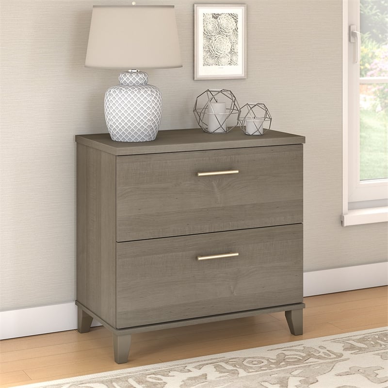 Pemberly Row Contemporary 2 Drawer File Cabinet in Ash Gray Finish