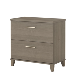 Pemberly Row Contemporary 2 Drawer File Cabinet in Ash Gray Finish