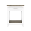 Pemberly Row Wood End Table with Storage in Pure White and Shiplap Gray