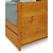 Pemberly Row Mid-Century Solid Wood Twin Daybed and Trundle Set in Brown