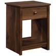 Pemberly Row Modern Engineered Wood Night Stand in Grand Walnut