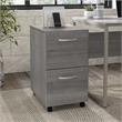 Pemberly Row 2 Drawer Mobile File Cabinet in Platinum Gray - Engineered Wood
