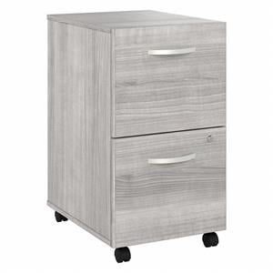 Pemberly Row 2 Drawer Mobile File Cabinet in Platinum Gray - Engineered Wood
