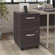 Pemberly Row 2 Drawer Mobile File Cabinet in Storm Gray - Engineered Wood