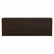 Pemberly Row Low Storage Cabinet with Doors in Black Walnut - Engineered Wood