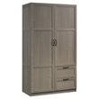 Pemberly Row Engineered Wood Storage Cabinet in Silver Sycamore