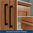 Pemberly Row Engineered Wood Storage Cabinet in Sienna Oak Finish