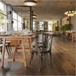 Pemberly Row X Metal Wood Stacking Side Chair in Black Fruitwood