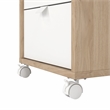 Pemberly Row Set of 2 Home Office Writing Desk and 3-Drawers Mobile Cabinet