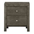 Pemberly Row Set of 2 Engineered Wood 2-Drawer Nightstands in Gray