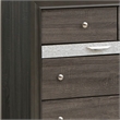 Pemberly Row Set of 2 Modern Wood Dresser and Mirror in Gray