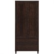 Pemberly Row Transitional Wood 2-Door Accent Storage Cabinet in Tobacco