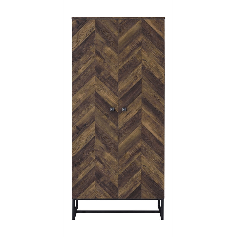 Pemberly Row Farmhouse Wood 2-Door Accent Storage Cabinet with Metal Base in Oak