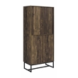 Pemberly Row Farmhouse Wood 2-Door Accent Storage Cabinet with Metal Base in Oak