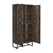Pemberly Row Farmhouse Wood 2-Door Accent Storage Cabinet with Metal Base in Oak