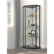 Pemberly Row Modern Glass Shelf Curio Cabinet Clear and Black