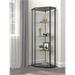 Pemberly Row Modern Glass Shelf Curio Cabinet Clear and Black