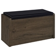 Pemberly Row Transitional Engineered Wood Storage Bench in Brown